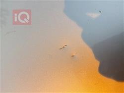 شێڤرۆلێت مالیبۆ